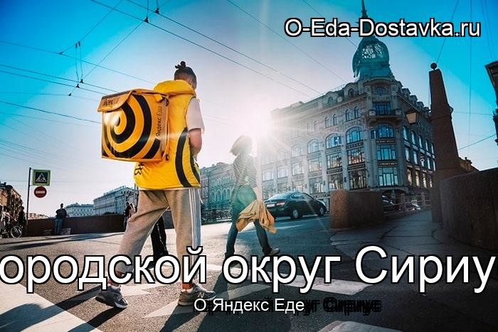 Яндекс Еда в городе городской округ Сириус